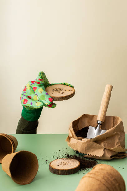istock Hand in a glove planting tomato seeds 1919860051