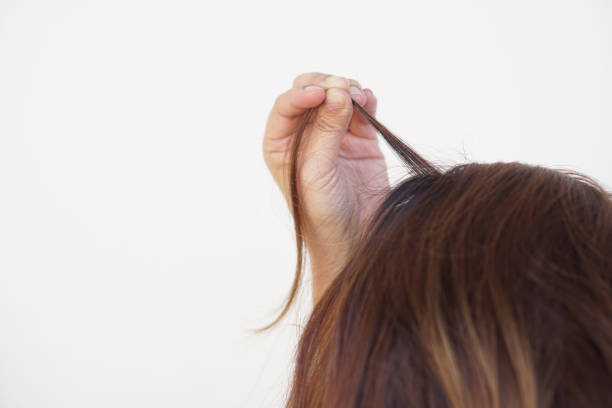 Close up woman hand is pull her hair up. Concept, Hair pulling disorder or Trichotillomania. Mental health.Psycho problems.
