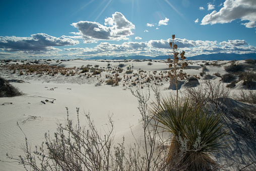 Sandia Mountains, Albuquerque, Southwest USA, Mountain and New Mexico as primary.