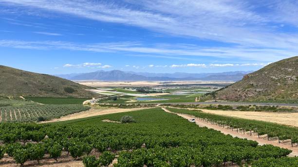 istock Riebeek Valley, Cape Town, South Africa 1919899996