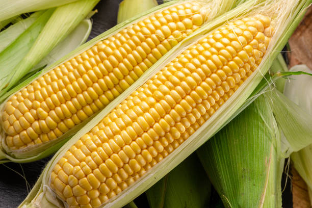 istock Ripe corn heads with corn whiskers and leaves. Nice vegetable cooking background for your projects. 1919900941