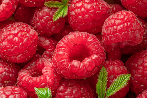 Fresh red ripe raspberries. Raspberries background.