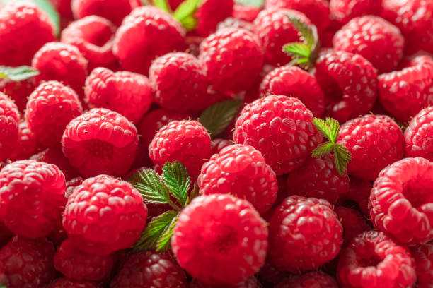 istock Fresh red ripe raspberries. Raspberries background. 1919918761