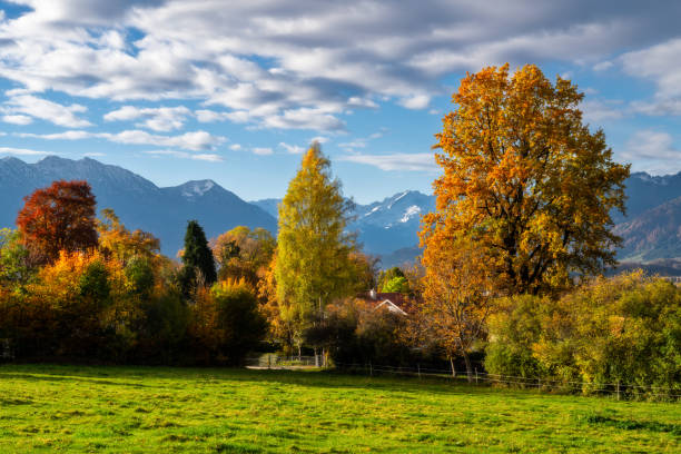 istock View from the town Murnau to the alps 1919978404