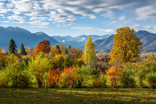 Autumn scenic with the view from the town Murnau to the alps