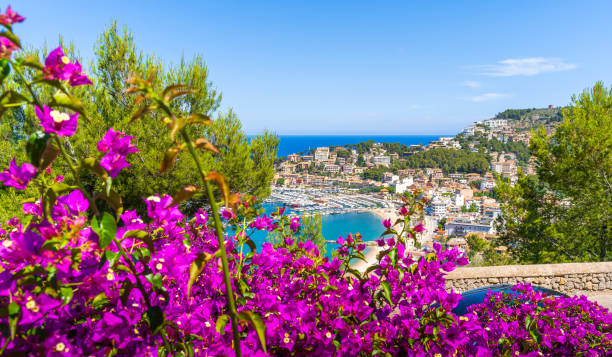 istock Panoramic view of Port de Soller, Mallorca 1920018269