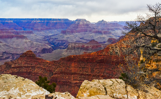 Panoramic view of the river valley and red rocks. Grand Canyon National Park with Colorado river in Arizona, USA