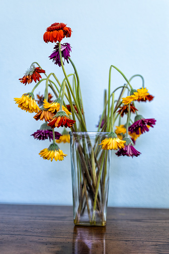 Small sumer bouquet in the transparent vase of glass at the green defocused background