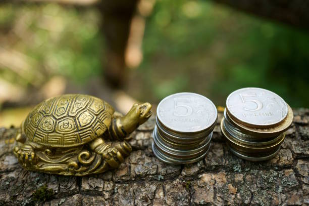 istock A metal turtle figurine and a stack of coins. 1920034388