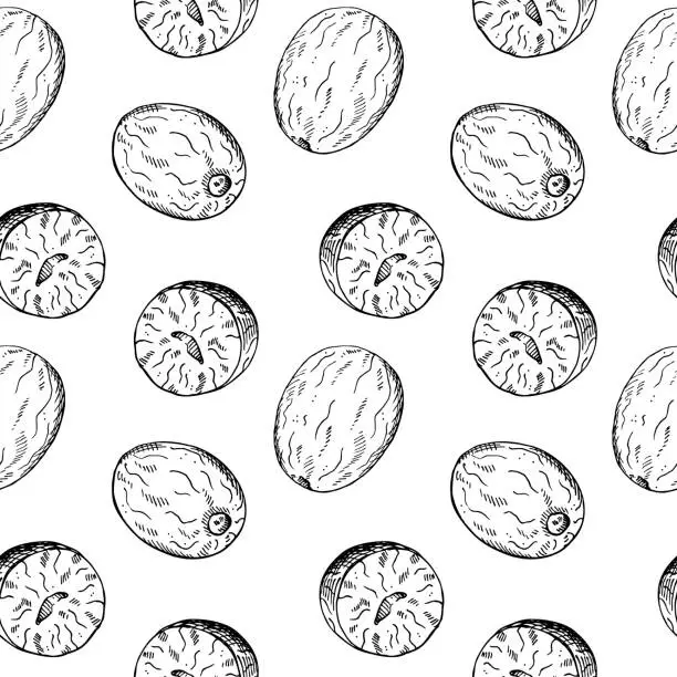 Vector illustration of Nutmeg seamless pattern hand drawn vector illustration repeating background with spicy nuts. Backdrop with Mace plant sketch for cooking, medicine, perfumery. For flyer, wrapping, print, paper, card