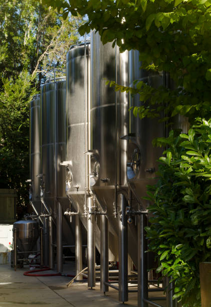 istock craft beer brewing, modern metal kegs 1920072515