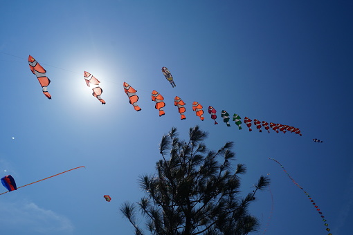 Kite festival with blue and clear sky background
