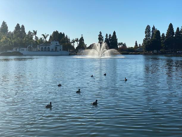 istock Images of Eastlake 1920147556