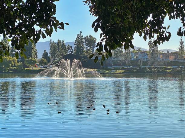 istock Images of Eastlake 1920147563