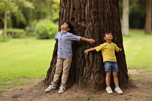 Tree Hugging - Love Nature