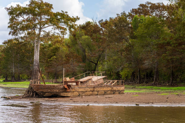 istock Abandoned boat rusts on the banks of Atchafalaya basin 1920186448