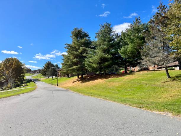 istock Road in the Catskills 1920186957