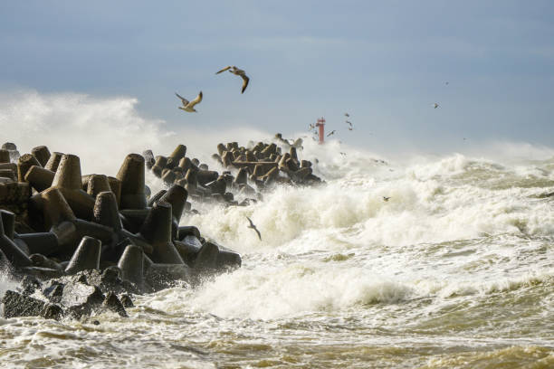 Hurricane scene, a seagull flies over waves and splashes during a coastal storm, selected focus