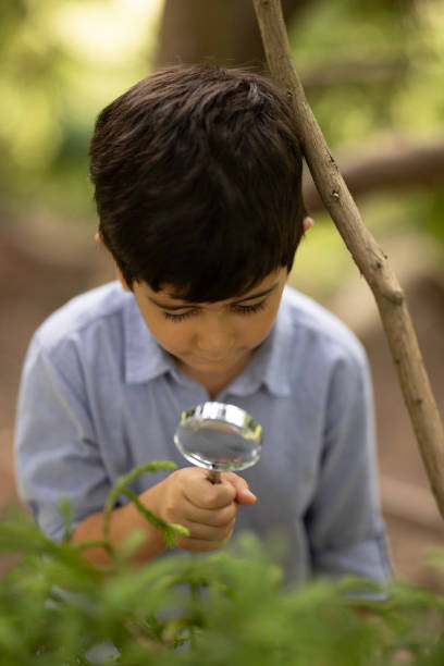 istock Little child is exploring the nature 1920243236
