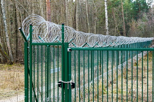 A new green metal mesh fence with coiled barbed wire and gate around the restricted area of a military facility, coiled barbed wire fencing