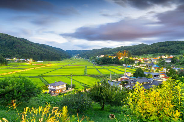 istock Nagano Prefecture, Japan at rual Tanokuchi Rice Terraces 1920305869