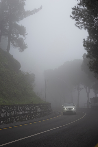 Car road in the fog-covered forest - Turkey