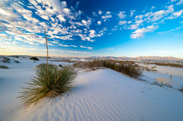 istock Dawn Breaks Over White Sands National Park 1920334874