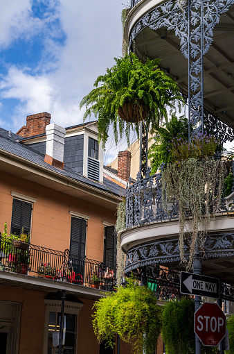 Hanging baskets on tradional New Orleans building on Royal Street in the French Quarter with grey wrought iron balconies