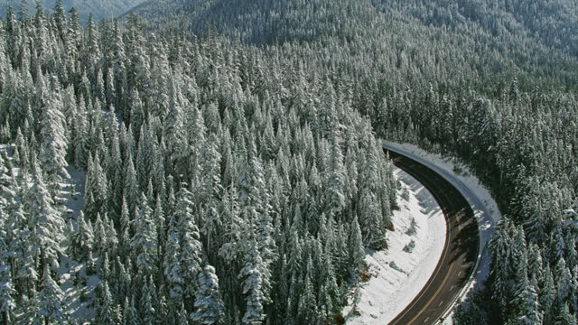 AERIAL Snowy mountain road surrounded by a forest under Mt. Hood in sunshine