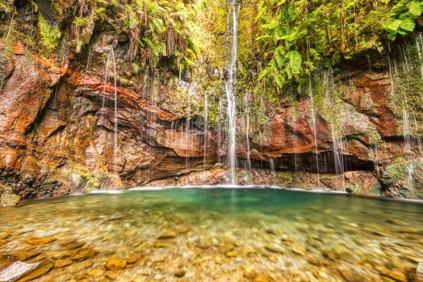 Cтоковое фото 25 Fontes Falls on the Levada Trail, Madeira Island