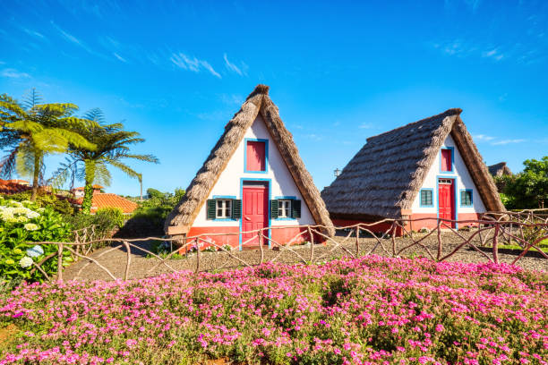 istock Traditional Houses on Madeira during a Sunny Day 1920373830