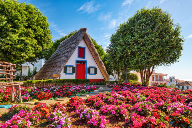 Traditional Houses on Madeira during a Sunny Day Traditional Houses on Madeira during a Sunny Day, Portugal santana photos stock pictures, royalty-free photos & images