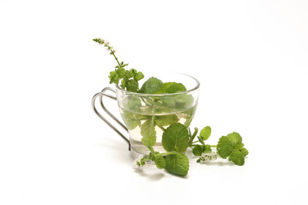 istock Mint in a glass teacup isolated on a white background. 1920431459