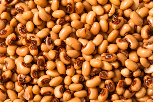 istock Organic Raw Black Eye Peas 1920443092