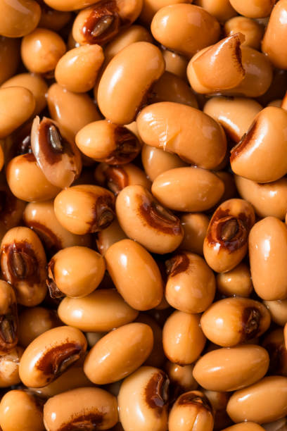 istock Organic Raw Black Eye Peas 1920445205