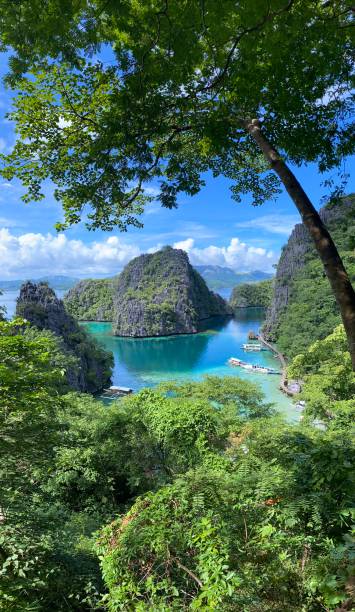 istock Kayangan Lake In Coron Island 1920523714