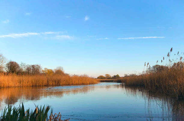 Stunning riverside view captured in Essex
