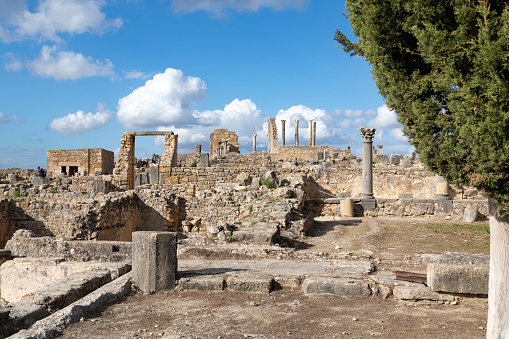 An image of Volubilis in Morocco, capturing the ancient Roman ruins set against a scenic backdrop. This archaeological site, with its well-preserved mosaics and columns, offers a glimpse into the rich history and cultural blend that characterizes this historic region.