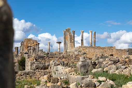 An image of Volubilis in Morocco, capturing the ancient Roman ruins set against a scenic backdrop. This archaeological site, with its well-preserved mosaics and columns, offers a glimpse into the rich history and cultural blend that characterizes this historic region.