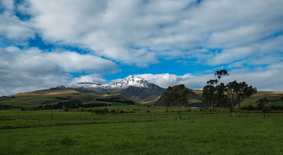 Panoramic view of ice-covered Los Ilinizas volcano over green fields with grazing cows and trees on a sunny day with blue sky - Ecuador