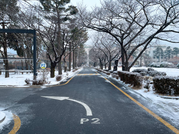 A serene winter setting featuring a snow-covered pathway lined with trees in an urban neighborhood. The fresh snow enhances the natural beauty, creating a tranquil atmosphere. The cozy houses adjacent to the path blend harmoniously with the surroundings, invoking a sense of peacefulness amidst the cold season.