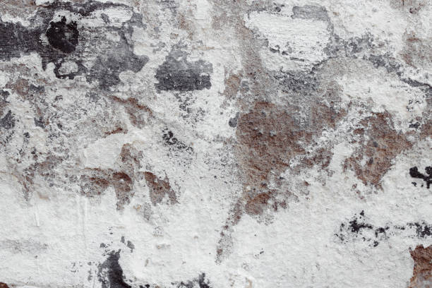 istock White grunge concrete wall with deep scratches and chips. Various variations of abrasions. 1920771324