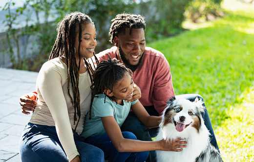 An African-American family sitting in the back yard with their dog, a mini Australian shepherd. The 10 year old daughter is petting the dog, and she and her parents are smiling and looking at the pet. The dog is looking at the camera.