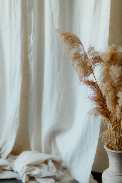 istock Dry reeds boho style. Golden reed grass, pampas grass. 1920789453