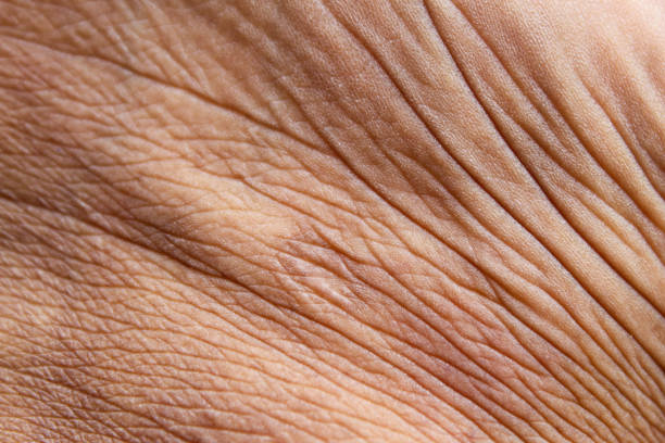 istock Wrinkled skin texture on men's legs 1920801374