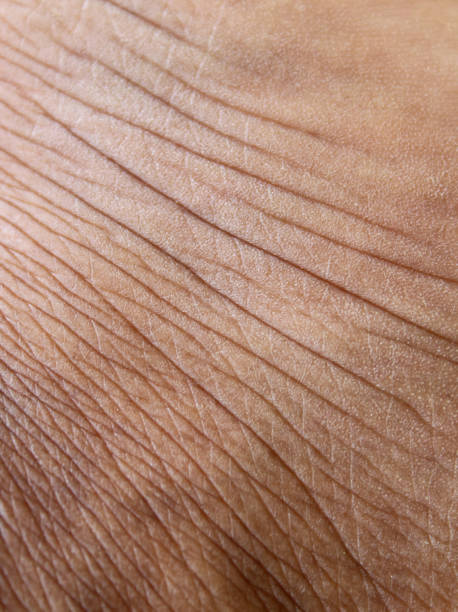 istock Wrinkled skin texture on men's legs 1920801403