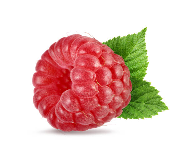 istock Fresh ripe raspberry with green leaves isolated on white 1920812447