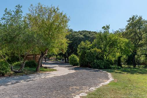 View of the trees path and grass at Bet She'arim National Park in Kiryat Tivon, Israel.