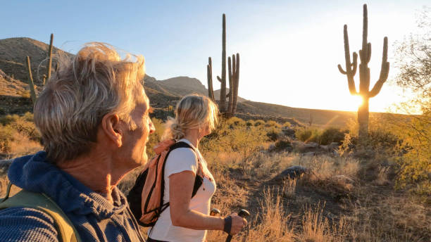 istock Mature couple hike through desert landscape 1920910678