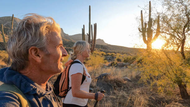 istock Mature couple hike through desert landscape 1920910679